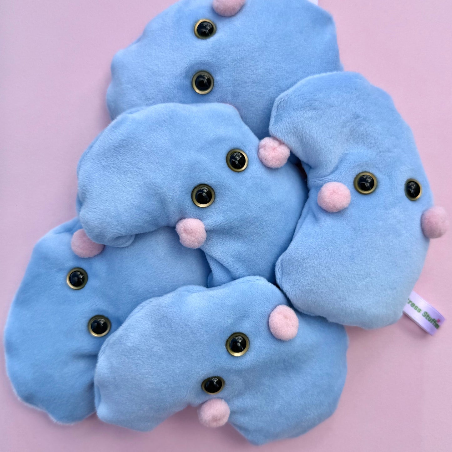 Vredelien pakket Sinaasappel