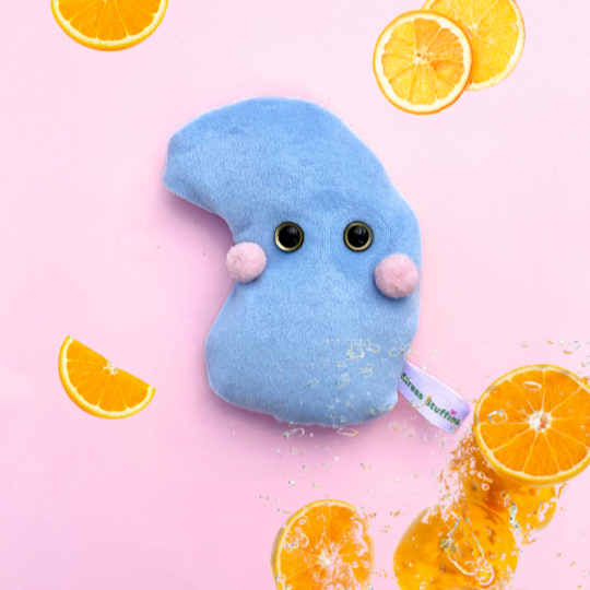 Vredelien pakket Sinaasappel